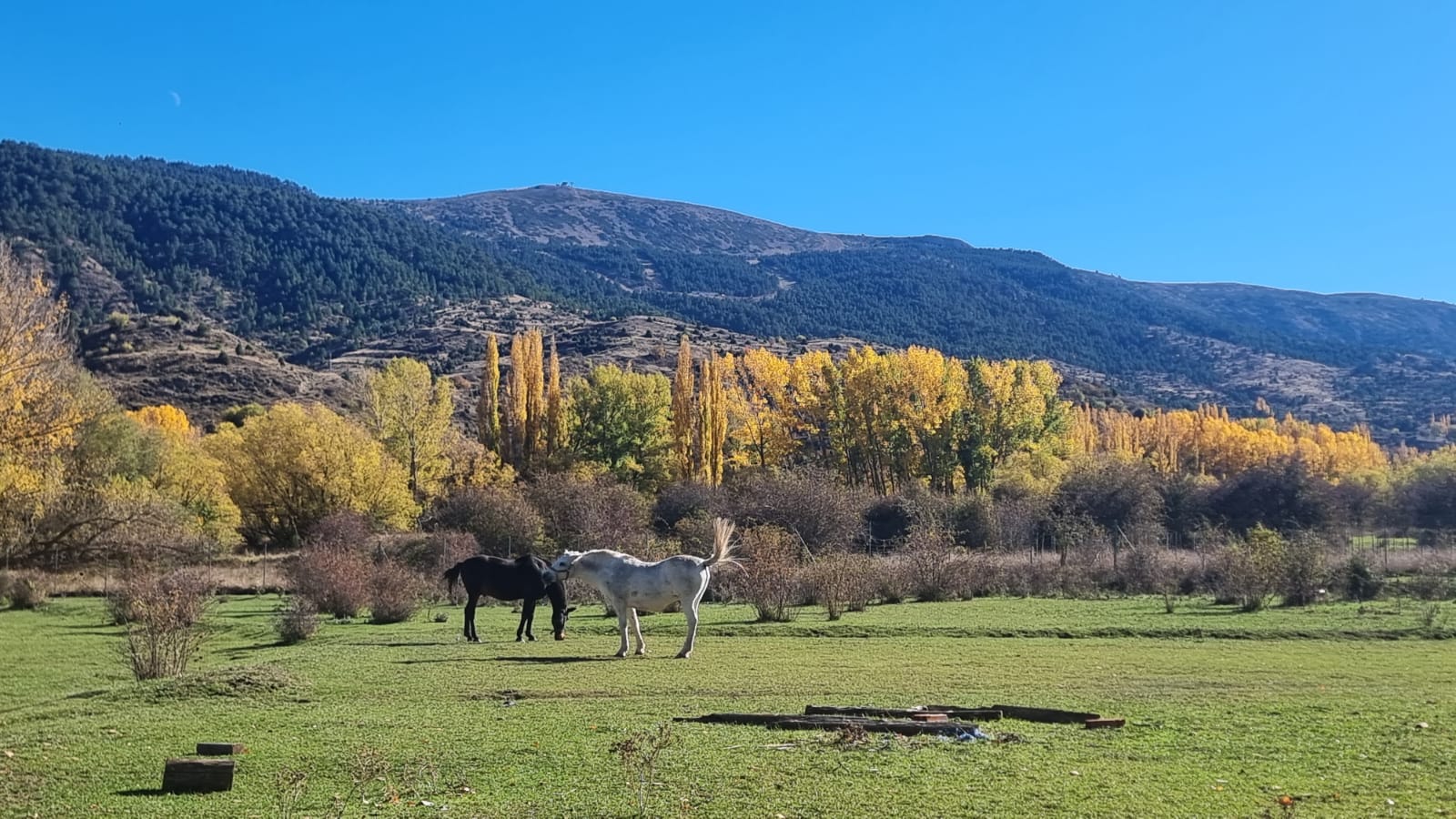 Balneario_Camarena_de_la_Sierra.jpeg