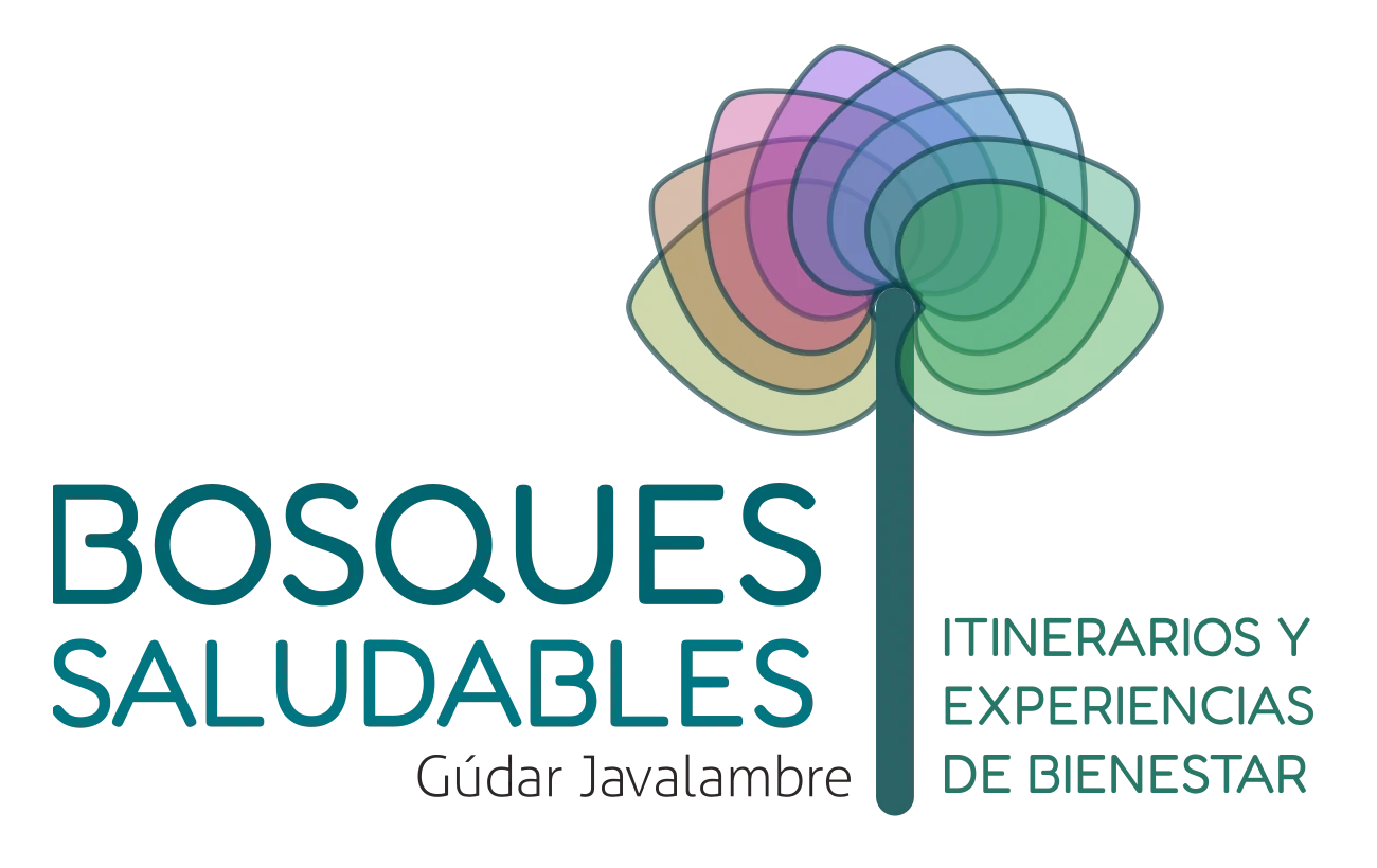 Bosques naturales