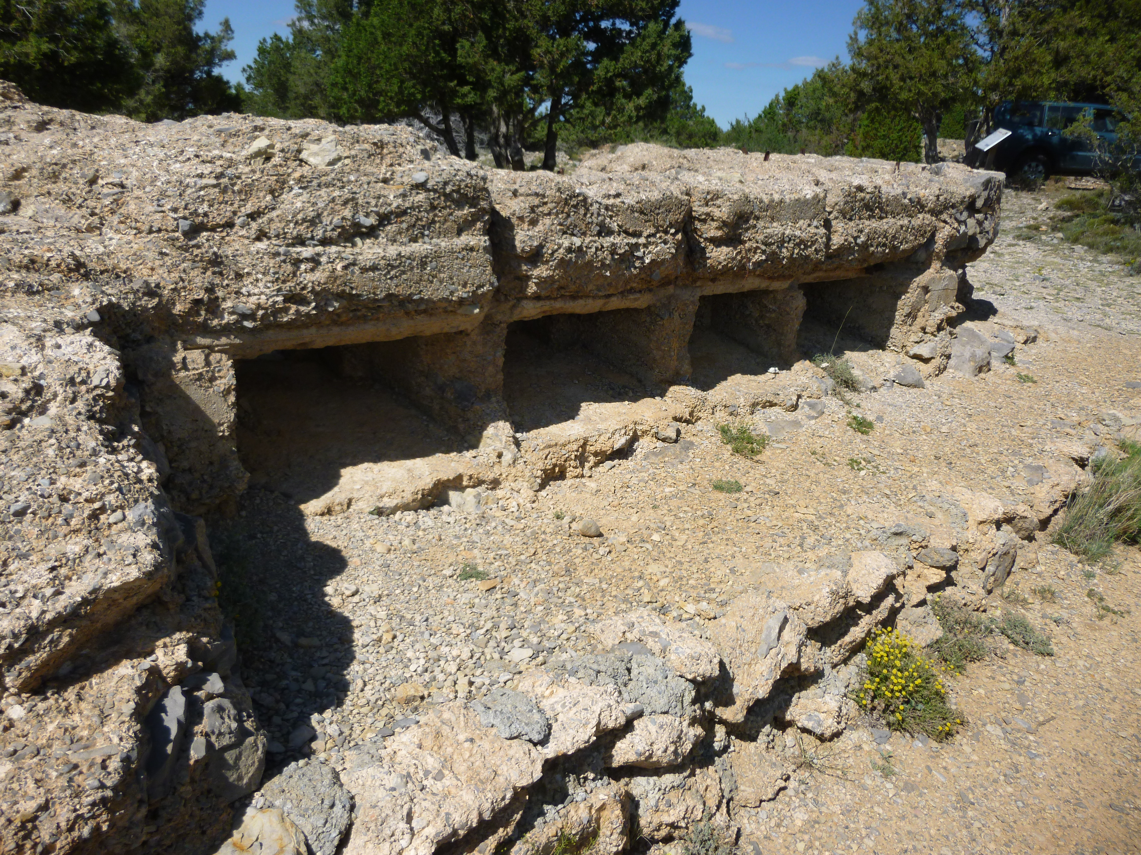 P1010266.JPG