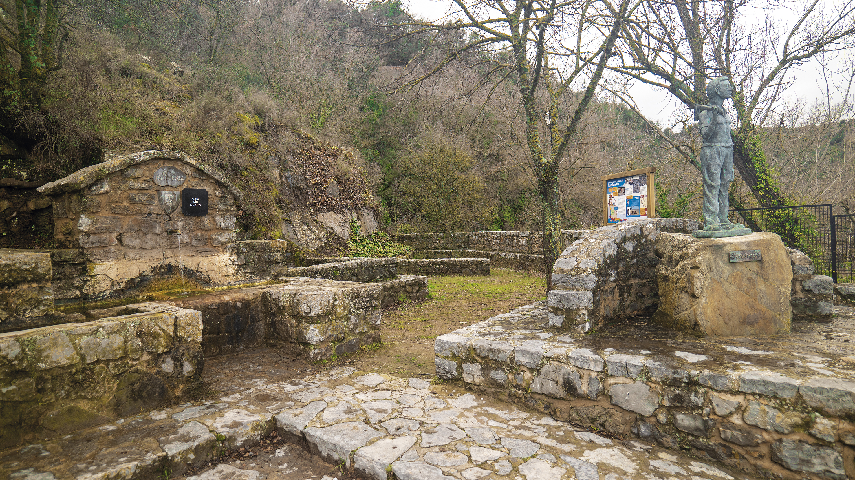 P1091790.jpg