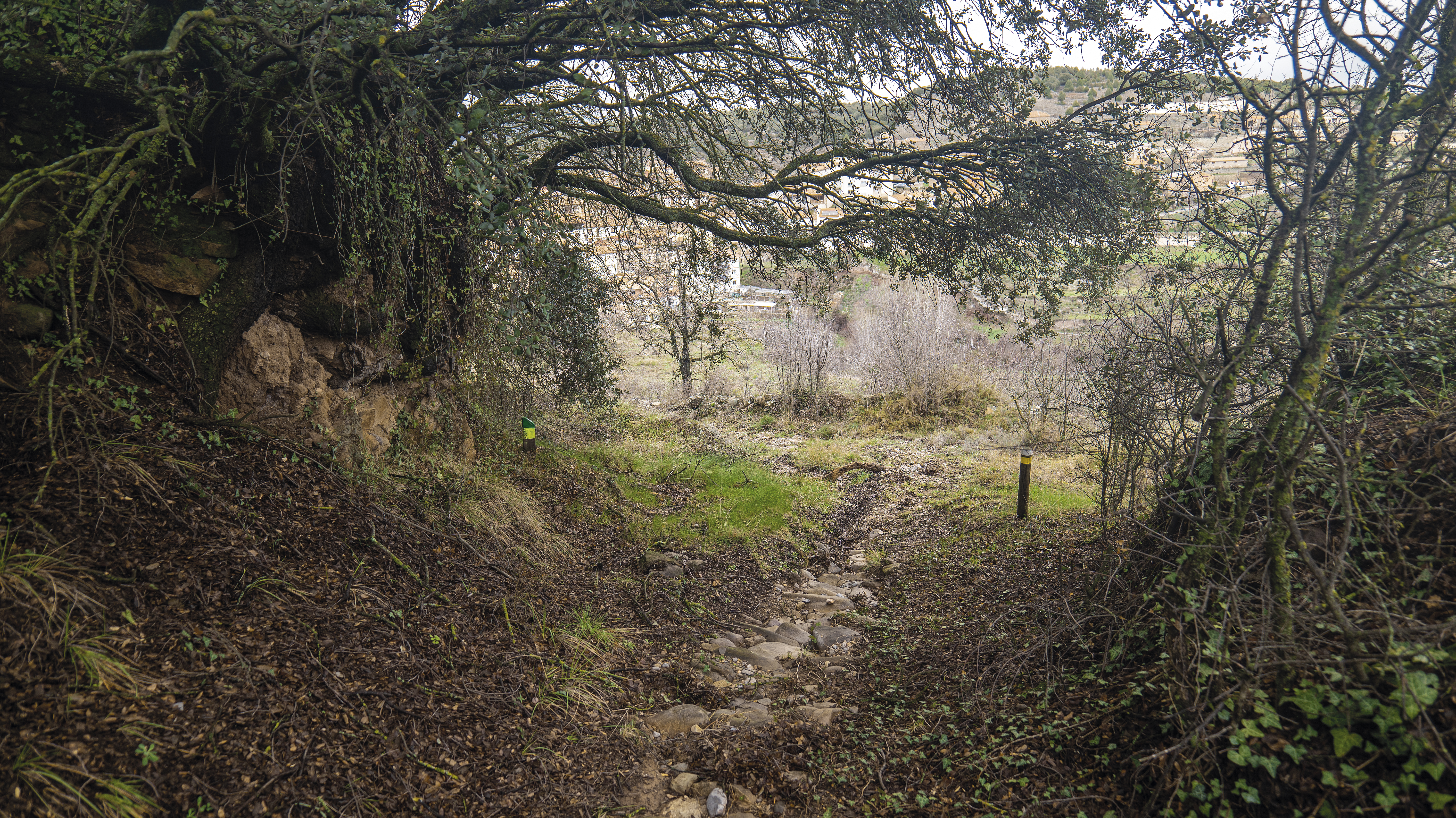 P1091832.jpg