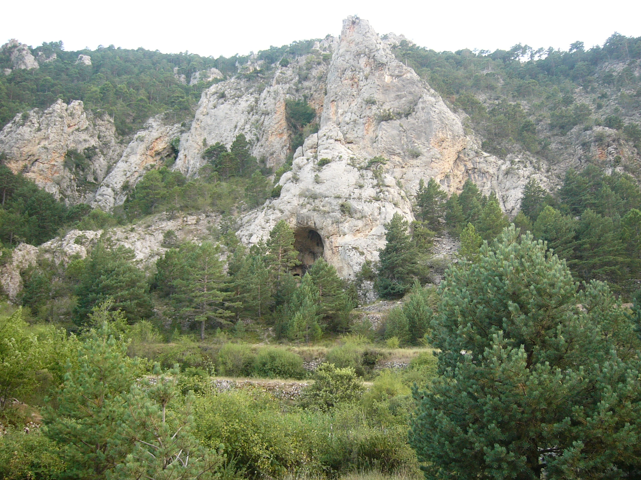 cueva_mona_2.JPG
