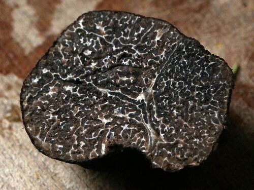 Conoce el Diamante Negro